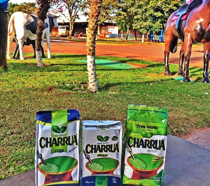 O estabelecimento busca sempre oferecer os melhores e os mais variados produtos aos seus clientes / Foto: Agropecuária Pantanal