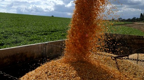 Fazenda altera Valor Real Pesquisado da soja e derivados