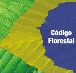 Programa de Regularização Ambiental vai implementar regras do Código Florestal