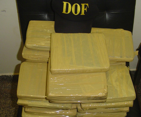 DOF bate recorde em apreensões de maconha e contabiliza os maiores números