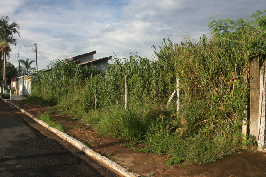 Quem não limpar o terreno em Amambai pagará multa Foto: Decom