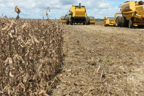 Ministério discute saídas para pendências no seguro rural Foto: Ascom Famasul