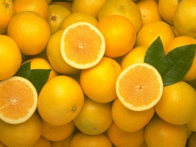 Laranja deve render U$ 2 bilhões ao agronegócio brasileiro