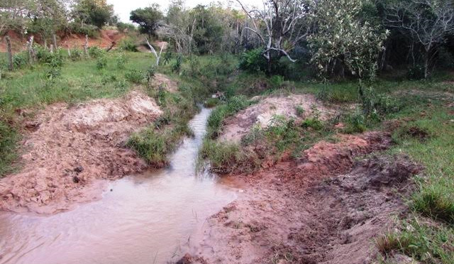 PMA autua fazendeiro por destruir mata ciliar de córrego e desmatamento ilegal