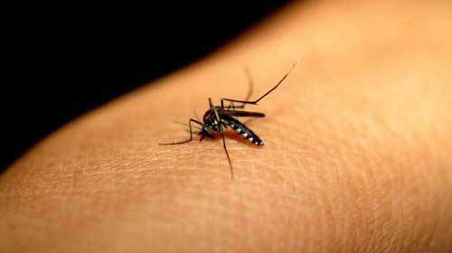 Cuba reforça vigilância epidemiológica em aeroportos e portos por causa do Zika