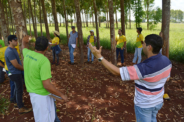Serão realizadas 240 qualificações de promoção social e profissional / Foto: Assessoria 