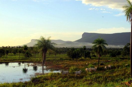 Segundo Encontro Estadual do Geopark Bodoquena-Pantanal acontecerá em Bonito Segundo Encontro Estadual do Geopark Bodoquena-Pantanal acontecerá em Bonito
