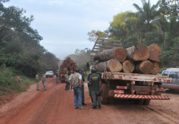 Consórcio de organizações firma parceria para promover ações de conservação no Pará e em Mato Grosso