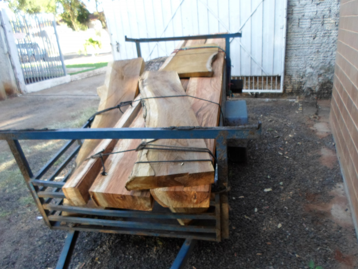 PMA autua infrator por transporte ilegal de pranchas de madeira ilegal