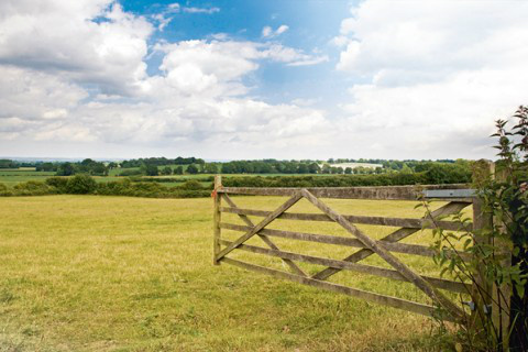 Foto: Revista Dinheiro Rural