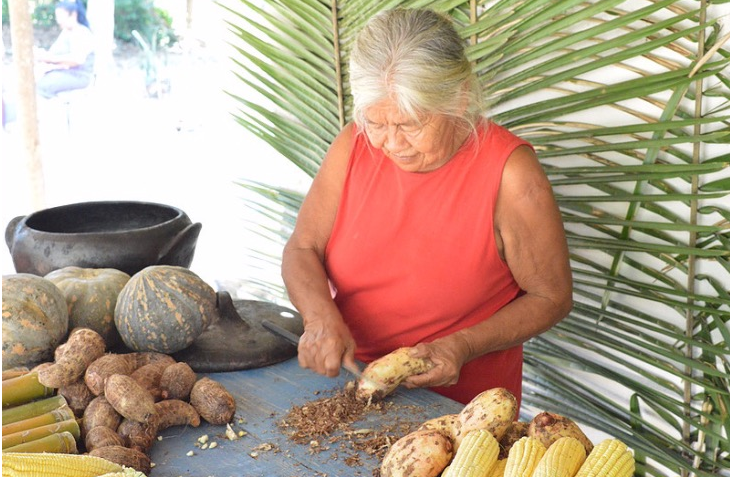 Disponível online, livro reúne receitas de alimentos da culinária guarani Disponível online, livro reúne receitas de alimentos da culinária guarani