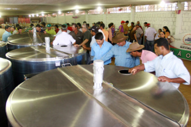 MS promove oficinas sobre políticas de apoio e acesso ao crédito para Arranjos Produtivos Locais MS promove oficinas sobre políticas de apoio e acesso ao crédito para Arranjos Produtivos Locais