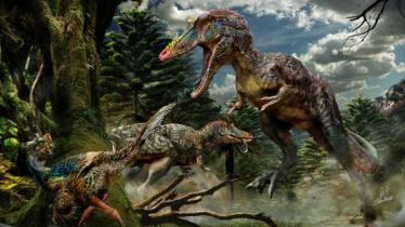 Cientistas descobrem novo dinossauro, o 'Pinóquio rex'