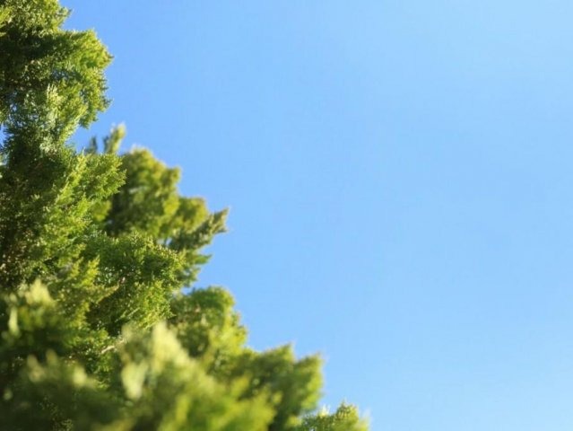 Quinta-feira será de céu claro e calor em MS Quinta-feira será de céu claro e calor em MS