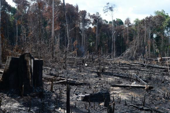 Área afetada pelo desmatamento já atingiu 2.215,5 quilômetros quadrados, informa Inpe Arquivo/Agência Brasil