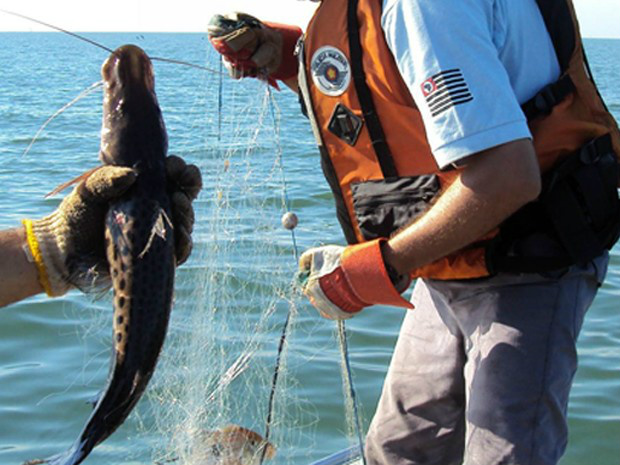 Fiscalização em combate à pesca predatória no rio Paraná, apreende 500mt de redes e soltam cerca de 10kg de peixes vivos / Foto: Divulgação