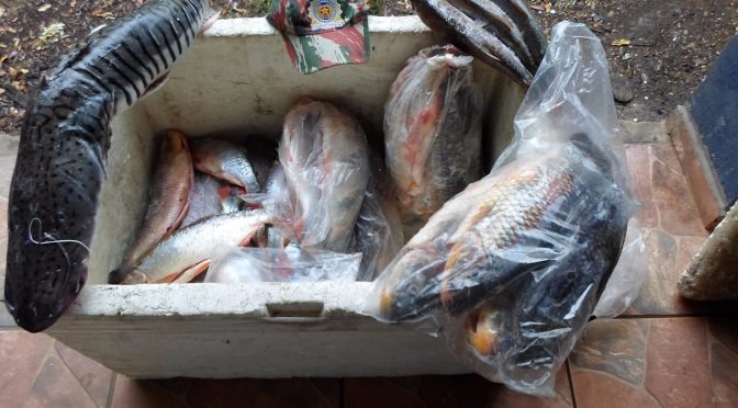 PMA autua turistas em R$ 2,7 mil por pesca ilegal e apreende 30 kg de pescado