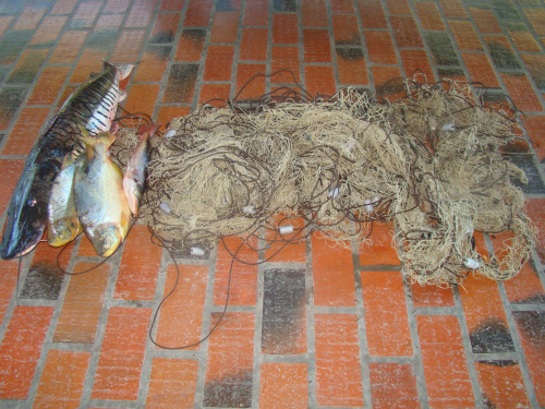 PMA apreende quase 100 kg de peixe e multas somam mais de R$ 15,5 mil