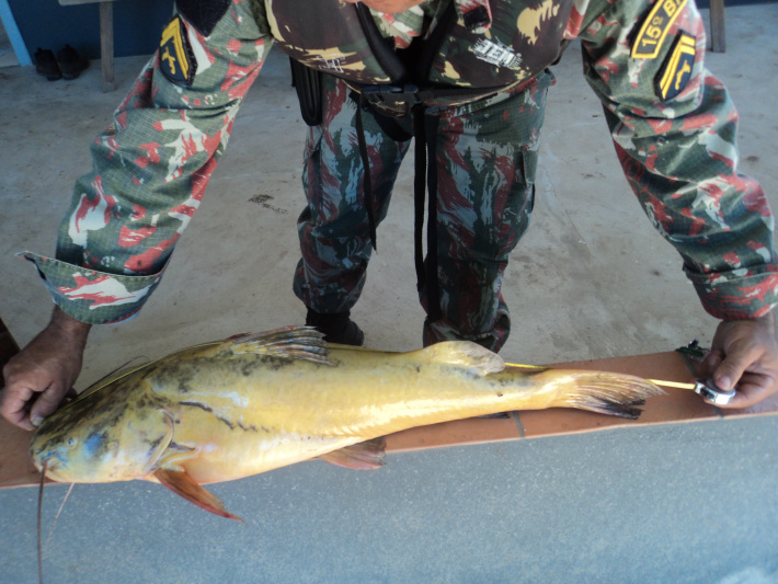 PMA prende dois campo-grandenses por pesca predatória