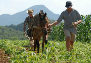 Agricultores de Mato Grosso cobram mais facilidades no acesso ao crédito