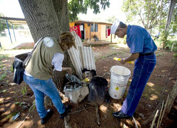 Mobilização contra Aedes ocorreu em 428 municípios e 2,8 milhões de residências Mobilização contra Aedes ocorreu em 428 municípios e 2,8 milhões de residências