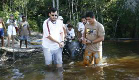 Peixes-boi serão devolvidos à natureza no Amazonas