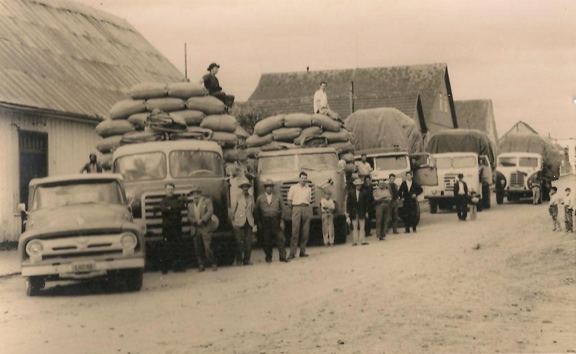 Emendas apresentadas pelo vereador Humberto são incluídas na LDO 2019 Garantir a retomada da cultura da erva mate no município tem sido prioridade entre as ações do vereador Humberto / Foto: Arquivo/Moreira Produções