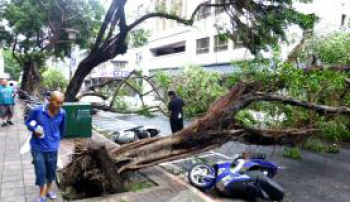 Sobe para quatro o número de mortes após passagem de tufão em Taiwan Sobe para quatro o número de mortes após passagem de tufão em Taiwan