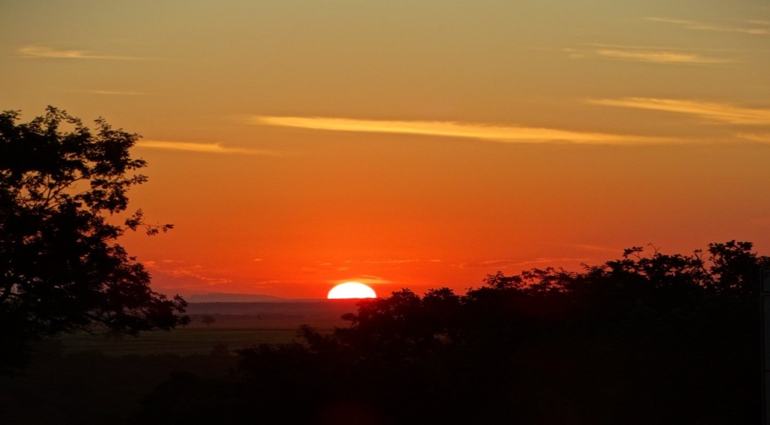Foto: Mônica Alves