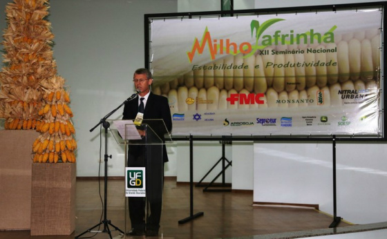 Milho safrinha é uma das culturas que mais evoluiu nos últimos anos em termos de ciência e tecnologia