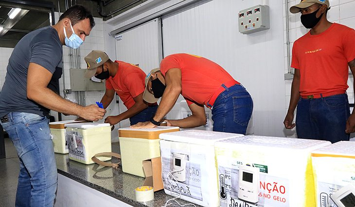 MS é líder no ranking nacional e bate recorde na aplicação de vacina Foto: divulgação