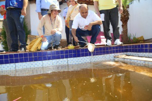 MS reduziu em 24% recursos para combate a epidemias em 2015 Ao lado de agente de saúde, ministro do Esporte (de camiseta branca) verificou larvas em piscina no bairro Aero Rancho. (Foto: Fernando Antunes) / Divulgação