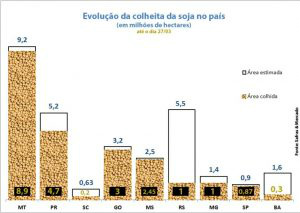 Brasil colhe 70% da safra de soja Foto: Divulgação
