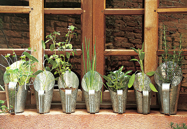 10 dicas para montar uma boa horta na sua casa