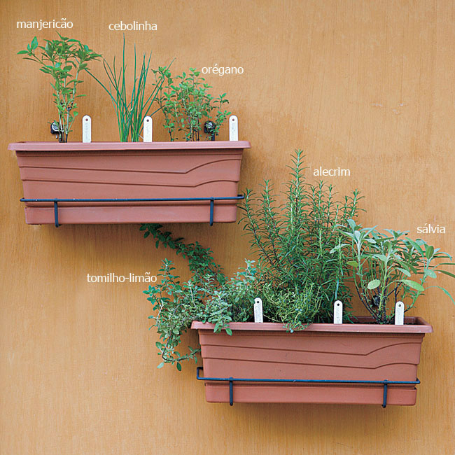 10 dicas para montar uma boa horta na sua casa