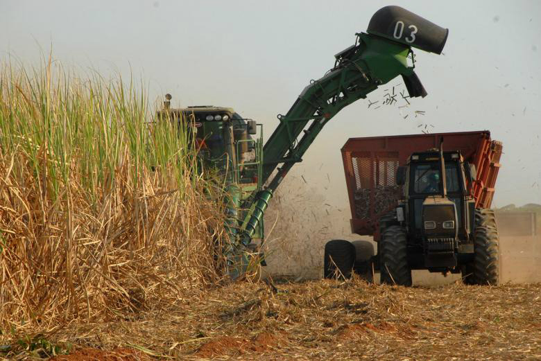 Chuva cessa e MS processa mais de 3 milhões de toneladas de cana-de-açúcar
