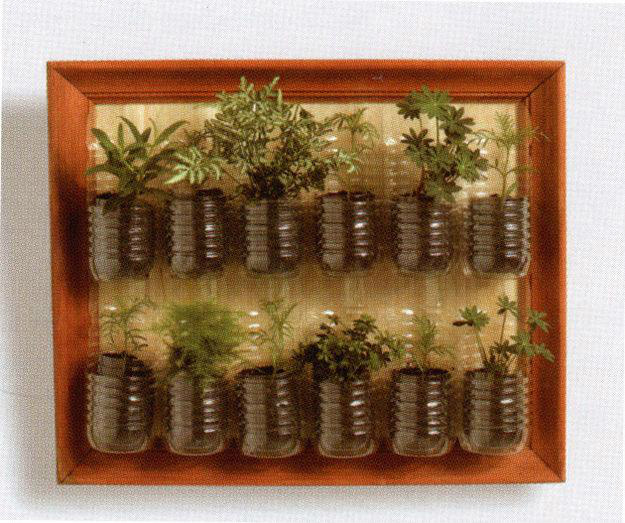 10 dicas para montar uma boa horta na sua casa