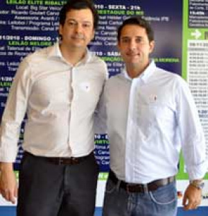 Maior feira indoor de Nelore do mundo deve movimentar R$ 20 milhões em dez dias