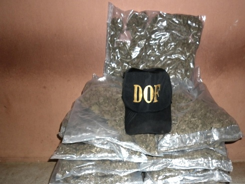 DOF apreende maconha embalada a vácuo