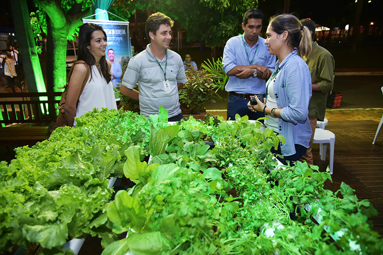 Do campo à cidade, novo modo de agricultura fomenta produção em MS Foto: Divulgação
