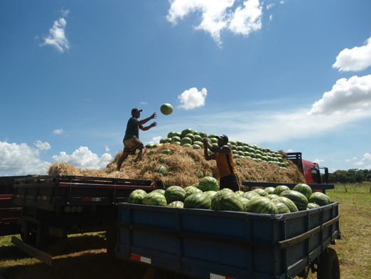 Showtec começa dia 25 com Mostra da Agricultura Familiar