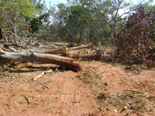 PMA autua proprietário por desmatamento, poluição e exploração de reserva legal