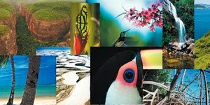 Termina dia 31 de janeiro consulta pública para o plano sobre biodiversidade
