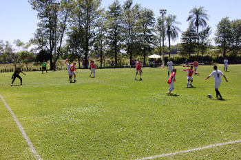 Confira os jogos da Copa Ouro para esta semana No domingo, 7, pela categoria Ouro, as equipes da União Bom Fim e Jr Bovinos empataram em 2 a 2.