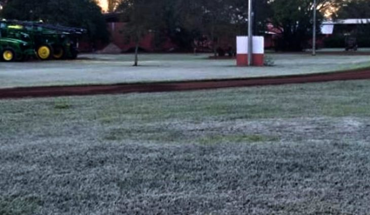 Junho termina com muito frio e geada em Mato Grosso do Sul Foto: Divulgação (geada em Caarapó no dia 29 de junho de 2021)
