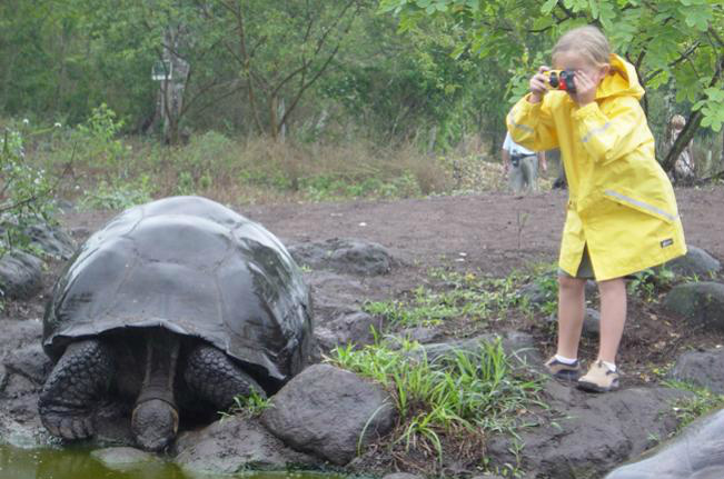 Adeus, George Solitário - Morreu o animal mais raro do mundo Adeus, George Solitário - Morreu o animal mais raro do mundo