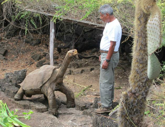 Adeus, George Solitário - Morreu o animal mais raro do mundo Adeus, George Solitário - Morreu o animal mais raro do mundo