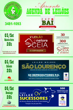 Pecuária da região é movimentada com os leilões da Expobai Pecuária da região é movimentada com os leilões da Expobai