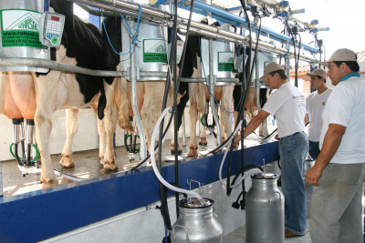 Silems estima aumento gradativo do preço leite na entressafra Silems estima aumento gradativo do preço leite na entressafra