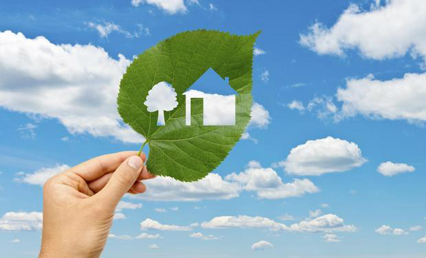 Escritório sustentável elimina impactos ao meio ambiente